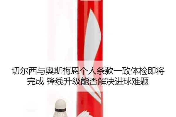 qie-er-xi-yu-ao-si-mei-en-ge-ren-tiao-kuan-yi-zhi-ti-jian-ji-jiang-wan-cheng-feng-xian-sheng-ji-neng-fou-jie-jue-jin-2-778.jpg